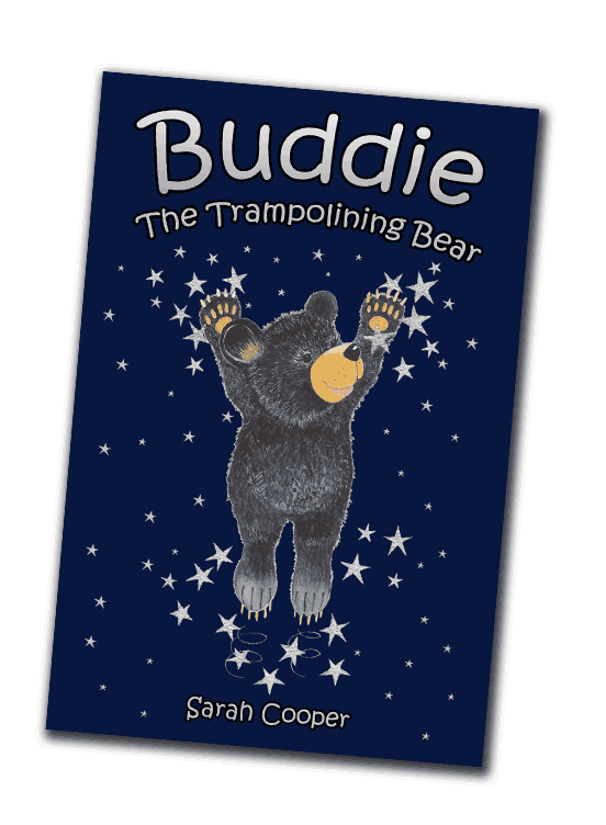 Buddie the Trampolining Bear - cover